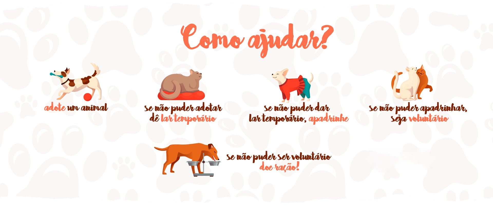 Como ajudar o Patas da Esperança