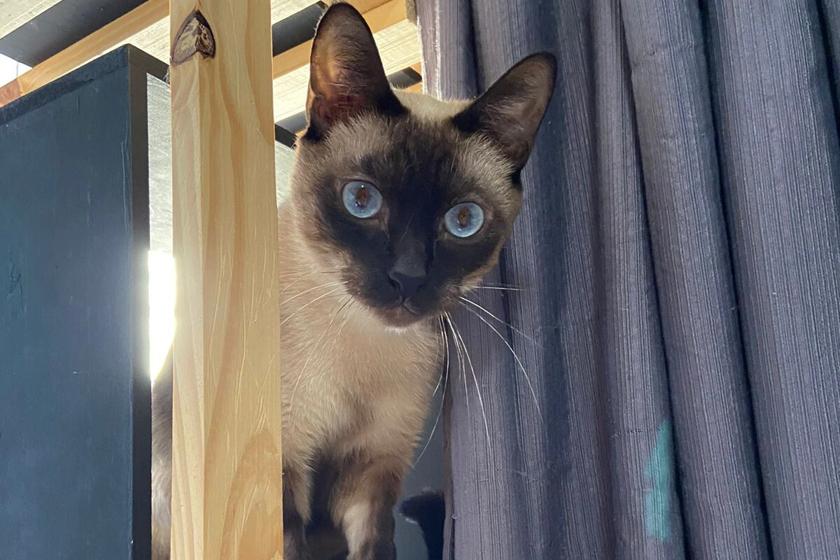 Foto de Mel