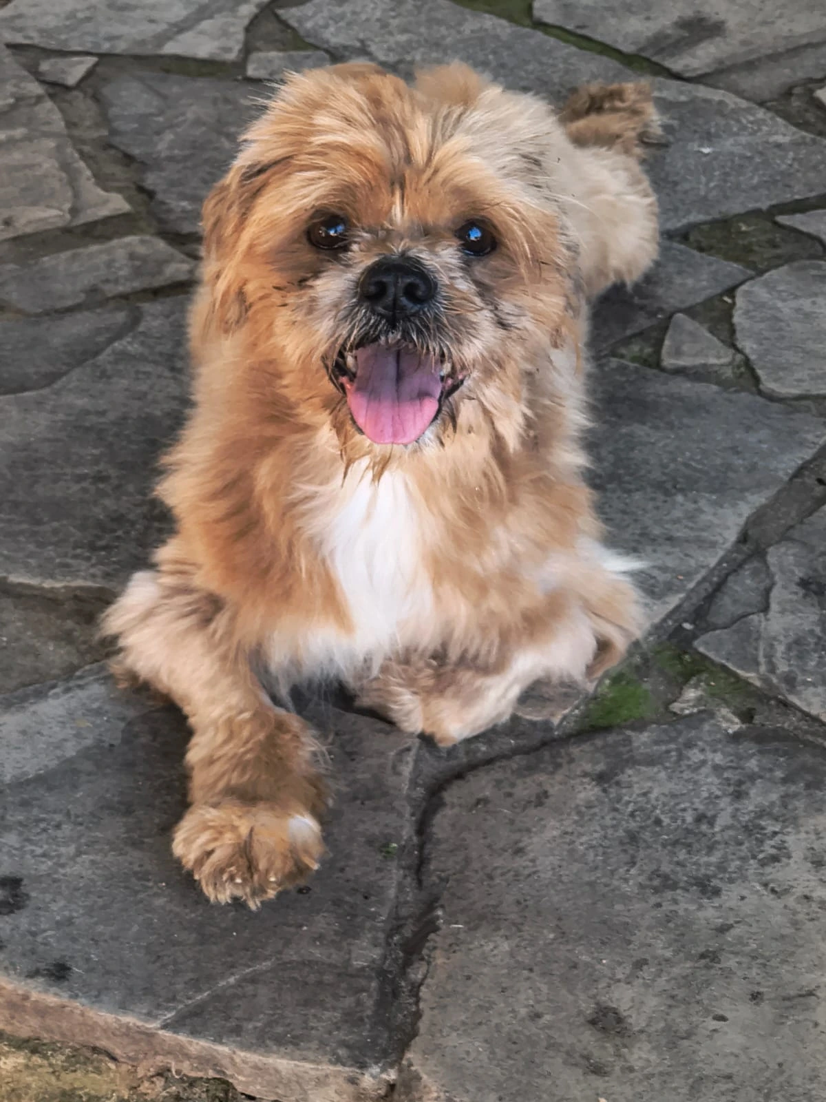 Foto de Jazz