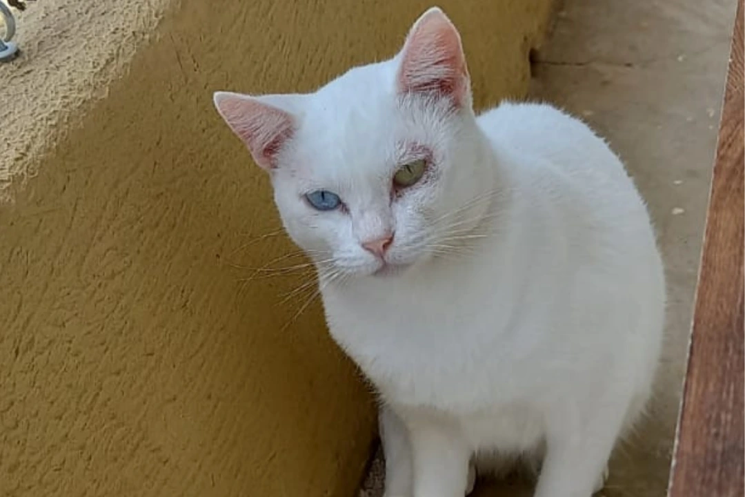 Foto de Bia