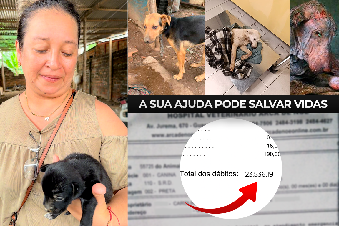 Como ajudar a Casinha da Lalay
