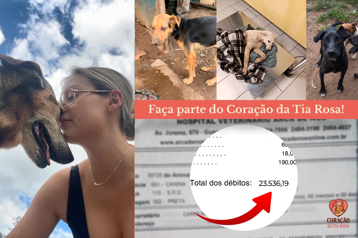 Faça parte do Coração da Tia Rosa