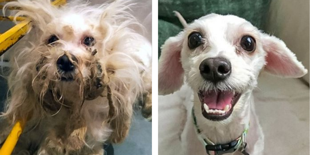 Transformação de Coragem - Antes e Depois