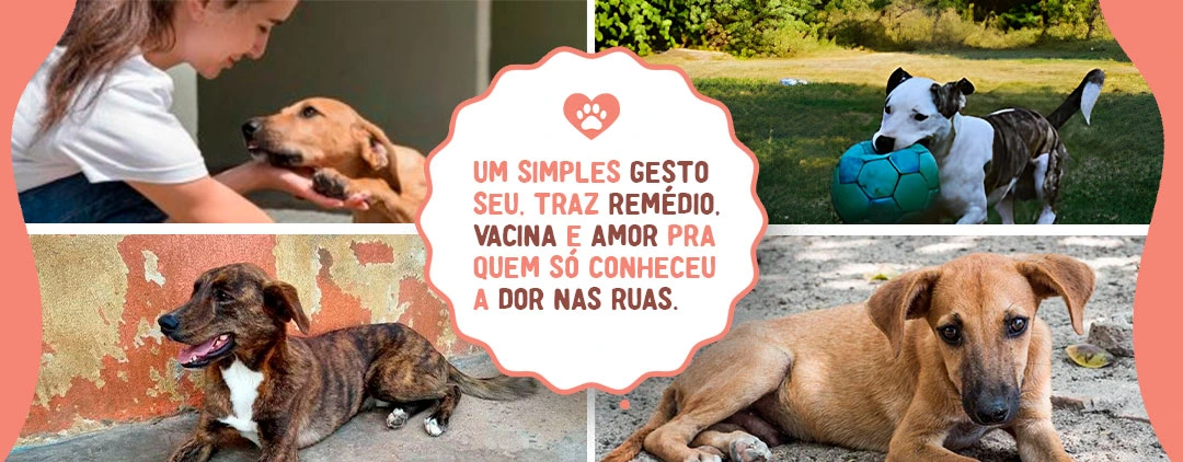 Faça parte do Recanto da Dona Neide