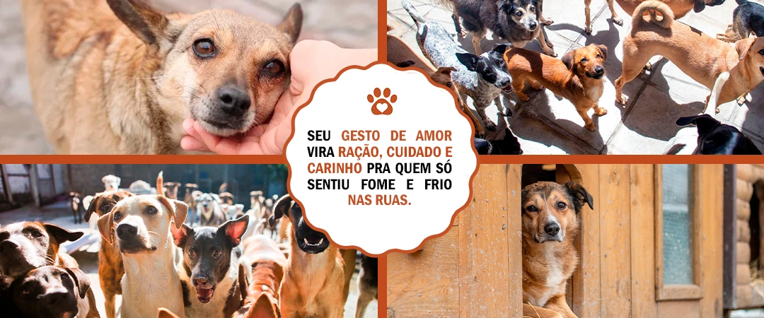 Situação crítica da fundação