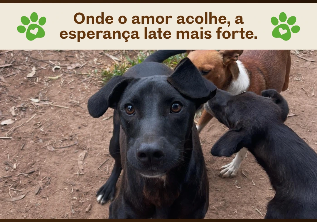 Banner Recanto da Dona Neide
